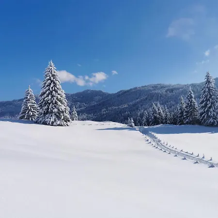 Wiesenblick 巴特欣德朗