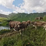 Wiesenblick