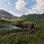 Wiesenblick * באד הינדלאנג
