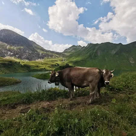 Wiesenblick * باد هينديلانغ