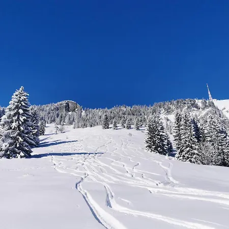Wiesenblick شقة