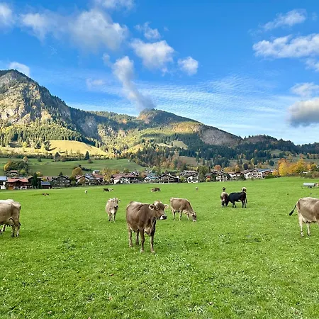 Wiesenblick * Bad Hindelang