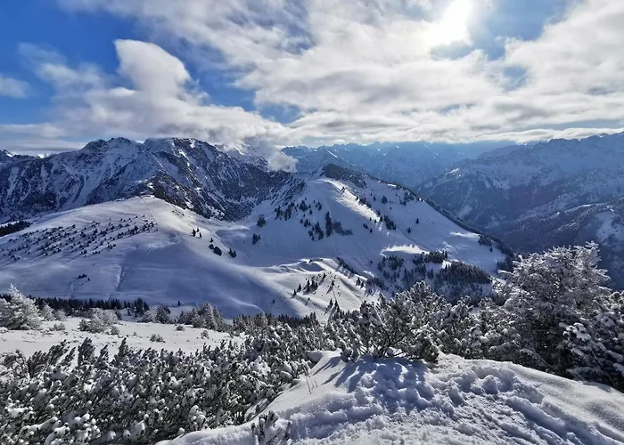 Wiesenblick * Bad Hindelang