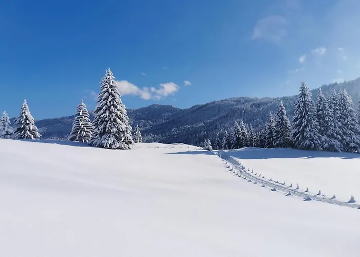Wiesenblick Bad Hindelang