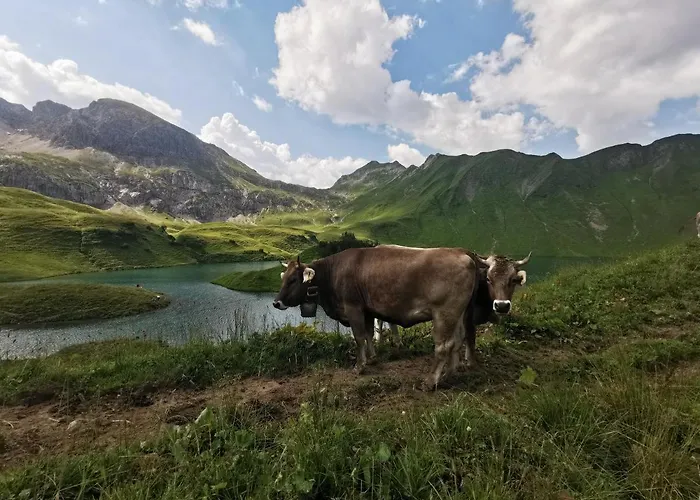 Wiesenblick * Bad Hindelang