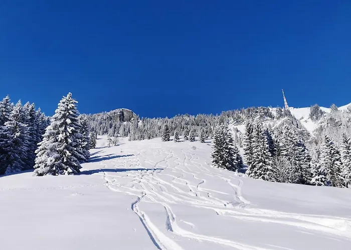 Wiesenblick Apartamento