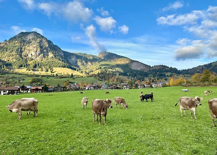 Wiesenblick * Bad Hindelang